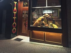 Bulletproof Tiger Tattoo