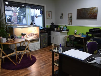 Buttons Art Tattoo Studio