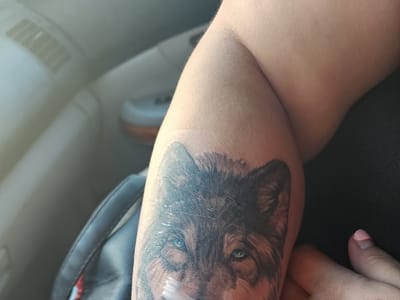 Cardinal Tattoo Studio