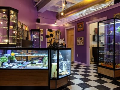 Chameleon Tattoo & Body Piercing