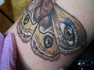 Chicory Root Tattoo Studio