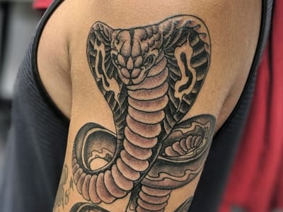 Cobra Classic Tattoo