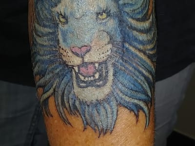 Cool Cat Tattoo Studio LLC