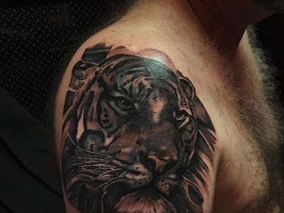 Count’s Tattoo Company