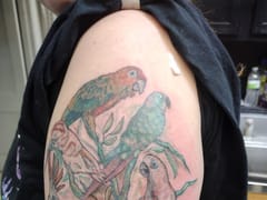 Craycraft Tattoo & Piercing Art Gallery