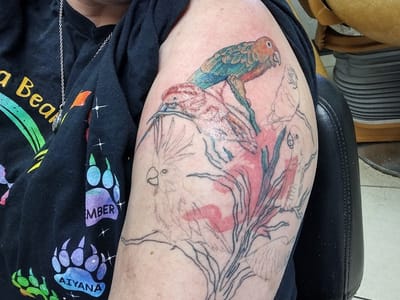 Craycraft Tattoo & Piercing Art Gallery