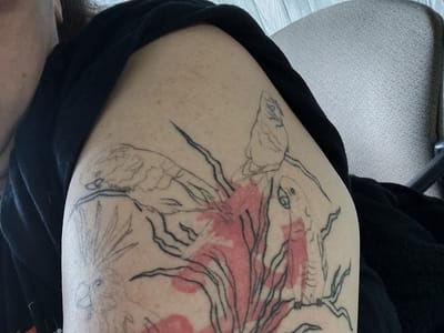 Craycraft Tattoo & Piercing Art Gallery