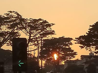 Creative Visions Ink Tattoo & Body Piercing Studio - Call for Appointment