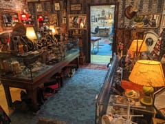 Curiosity Shop