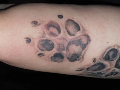 Cynful Ink and Metal