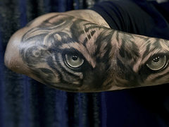 DaB. Private Tattoo Studio