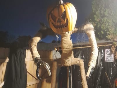 Dark Horse Tattoo Studio