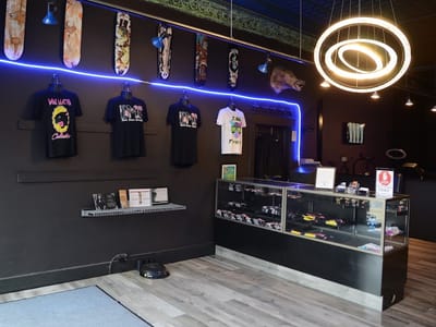 Dark Matter Collective