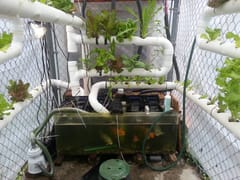 De Los Angeles Designs, LLC