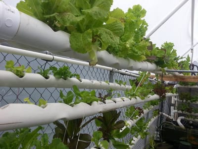 De Los Angeles Designs, LLC