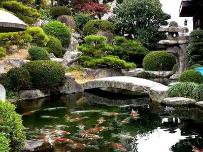 De Los Angeles Designs, LLC