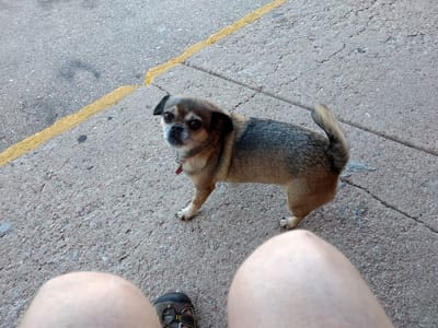 Defiant Buddha Bodyworks