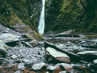 Devine Designs Tattoo Collective