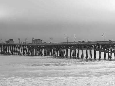 Devine Designs Tattoo Collective