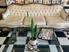 Devine Street Tattoo