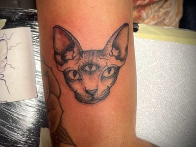 Diggy's Tattoo studio