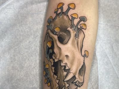 Diggy's Tattoo studio