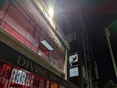 Diving Swallow Tattoo