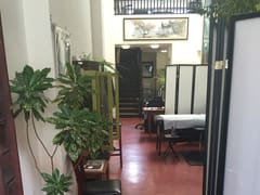 Diving Swallow Tattoo