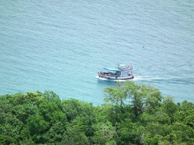 Diving Swallow Tattoo