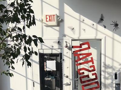 Dogstar Tattoo Company