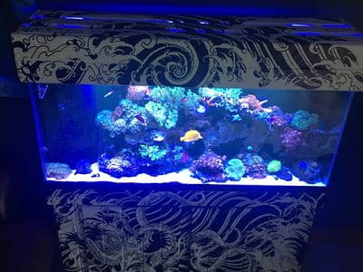 Double Edge Tattoo Parlor