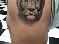 Dr. Dave's Tattooed Lady