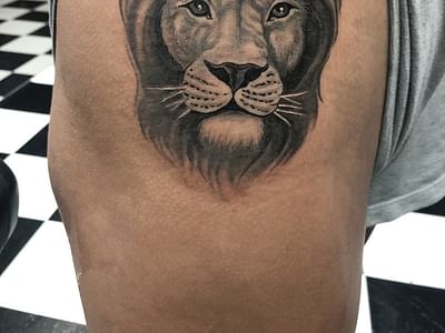 Dr. Dave's Tattooed Lady