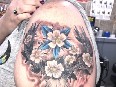 Dr. Dave's Tattooed Lady