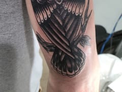 Dr. Jack's Ink Emporium