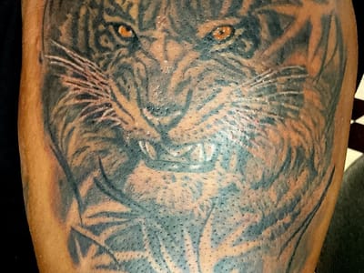 Dreamof1nk Tattoo studio