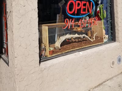 El Underdog Tattoo Parlor