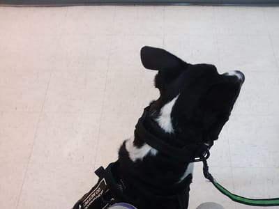 Electric Arts Tattoo Studio