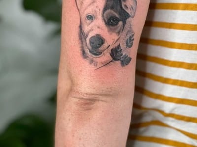 Electric Feels Studio