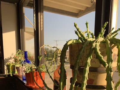 Electric Ink Tattoo Studio