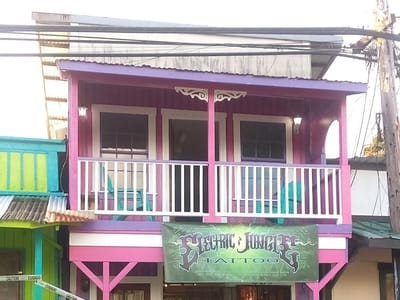 Electric Jungle Tattoo