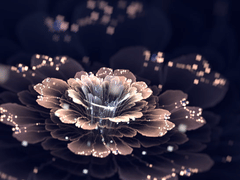 Elysium Body Enhancements