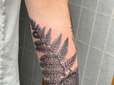 Elysium Body Enhancements