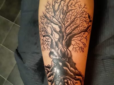 Enchanted Inks' Tattoo & Piercing Studio