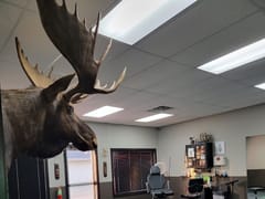 Epic Ink Tattoo and Piercing