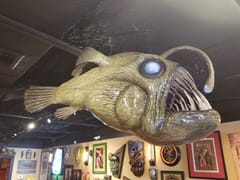 Eternal Expressions Tattoo