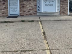 Evermore Tattoo Gallery