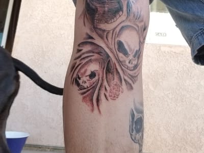 Evolution Tattoo