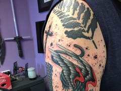 Evolved Artforms Tattoo