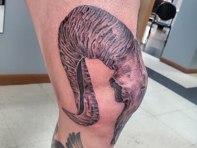 Evolved Artforms Tattoo